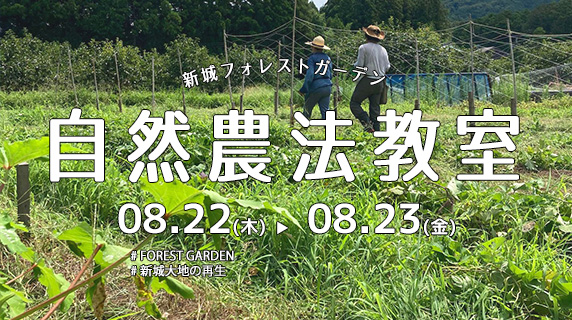 『8月』自然農法教室in愛知県新城市